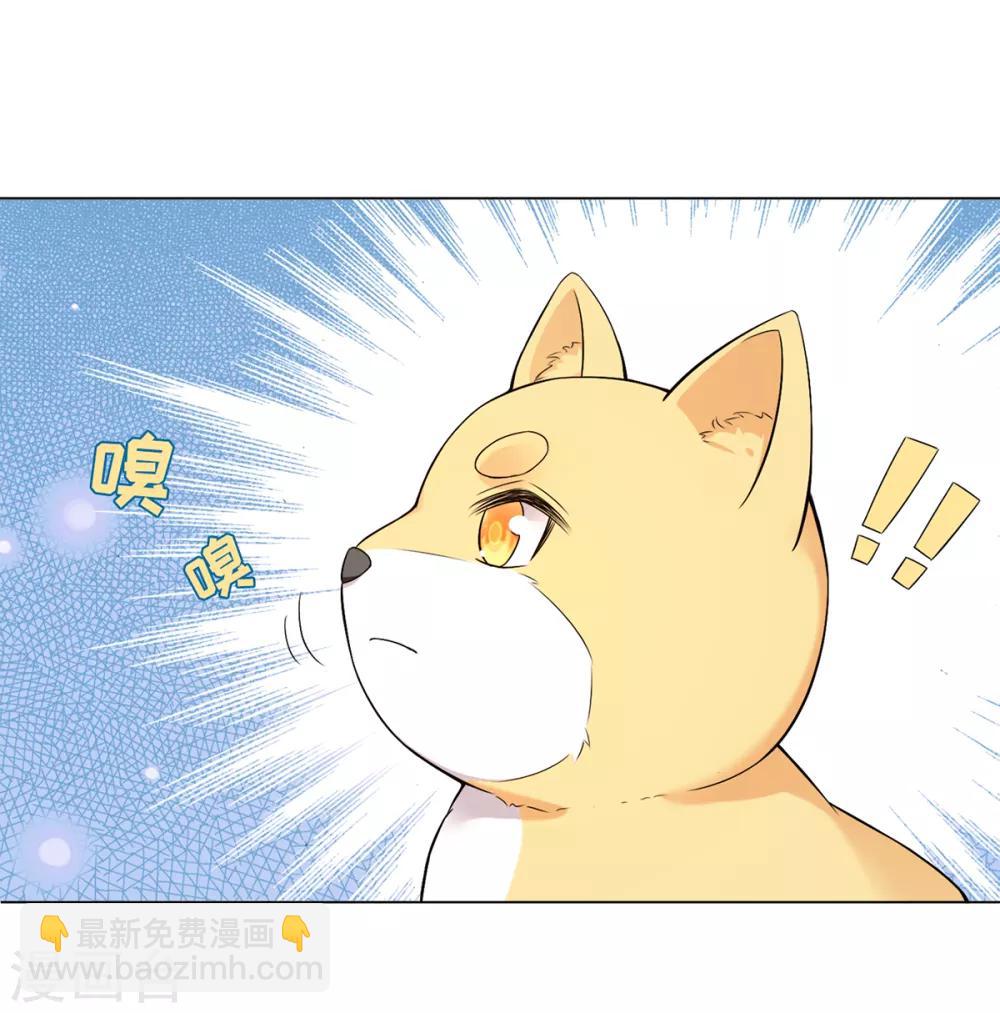 第14话 永顺染坊(1/2)-第16话