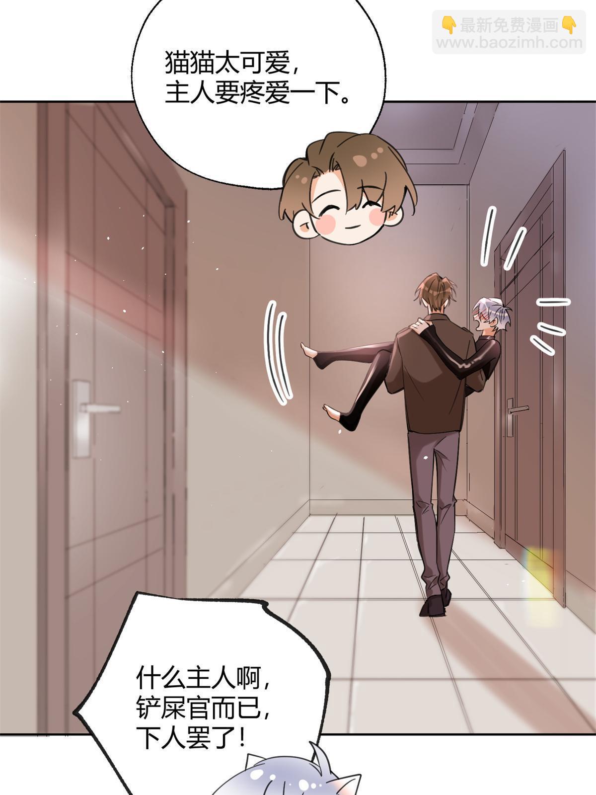104 猫猫回归！-第104话