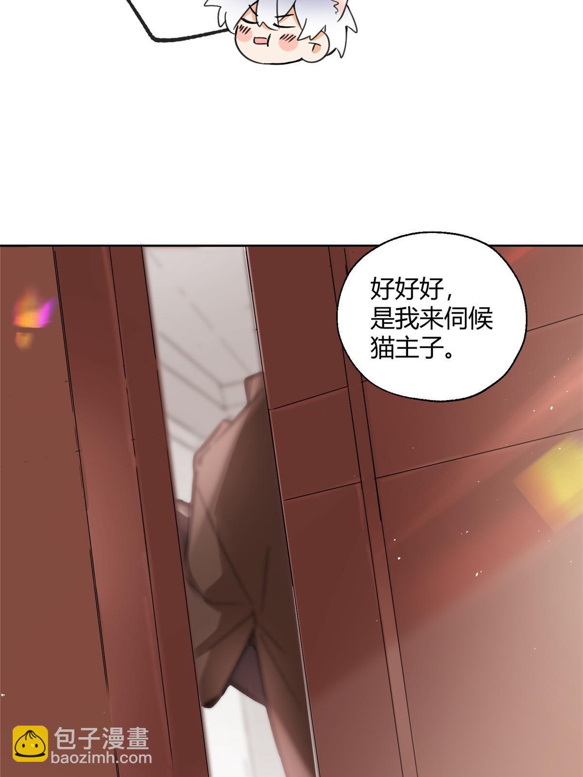104 猫猫回归！-第104话