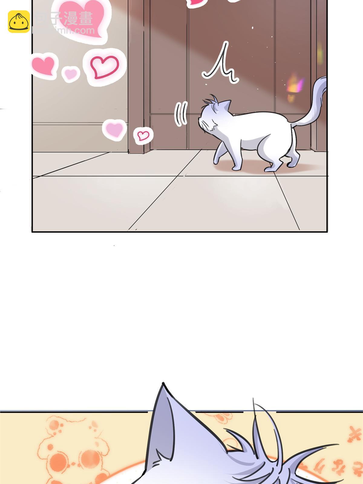 104 猫猫回归！-第104话