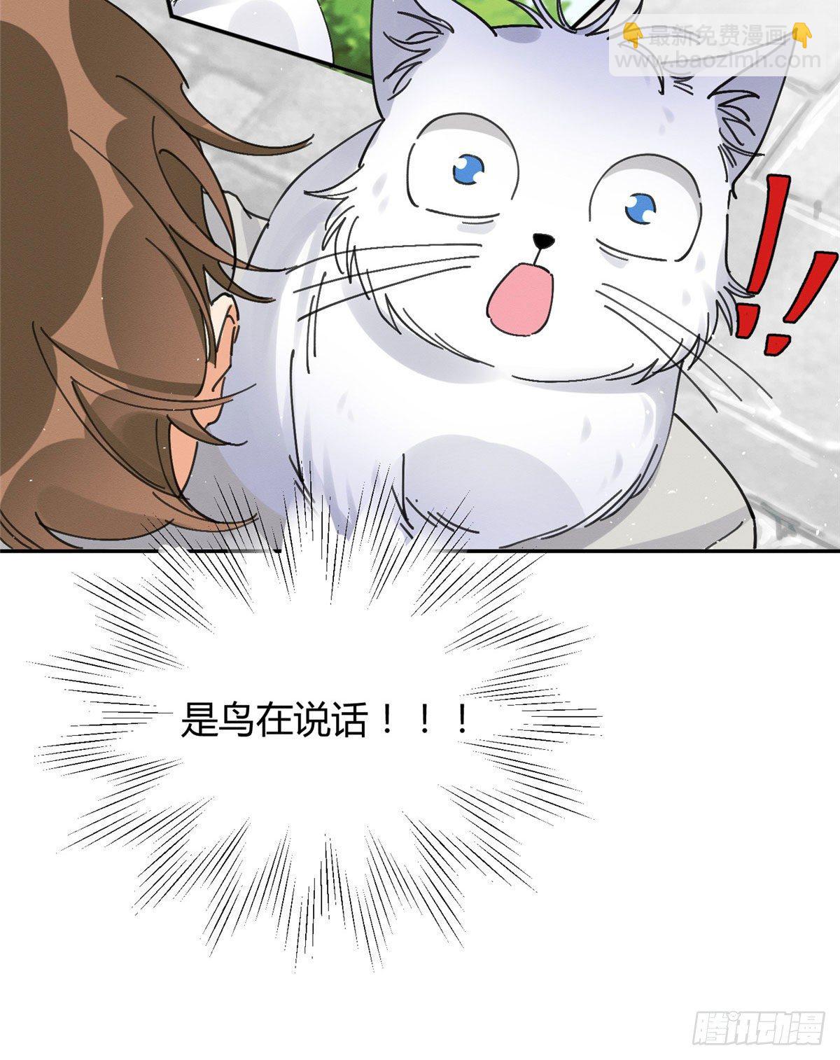 第16话 你哭了？(1/2)-第16话