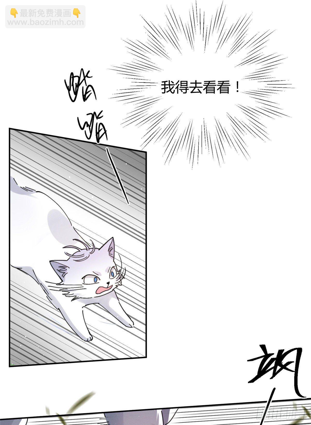 第16话 你哭了？(1/2)-第16话