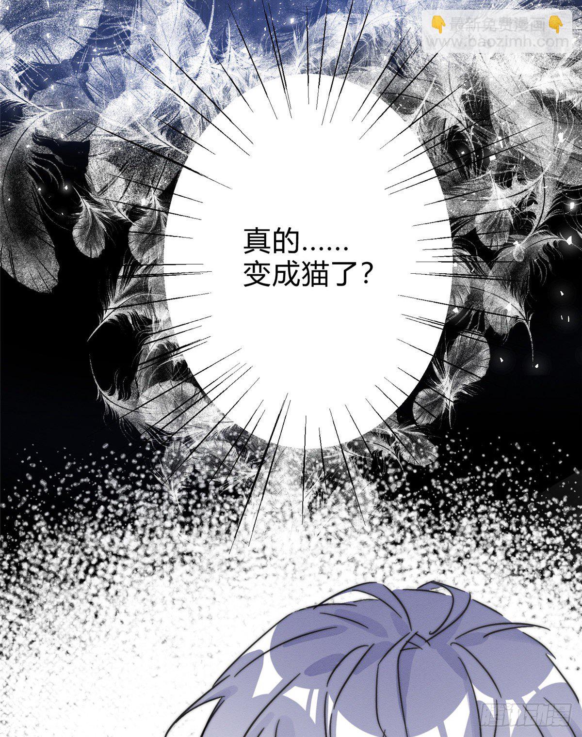 第2话 我来照顾他吧！(1/2)-第2话