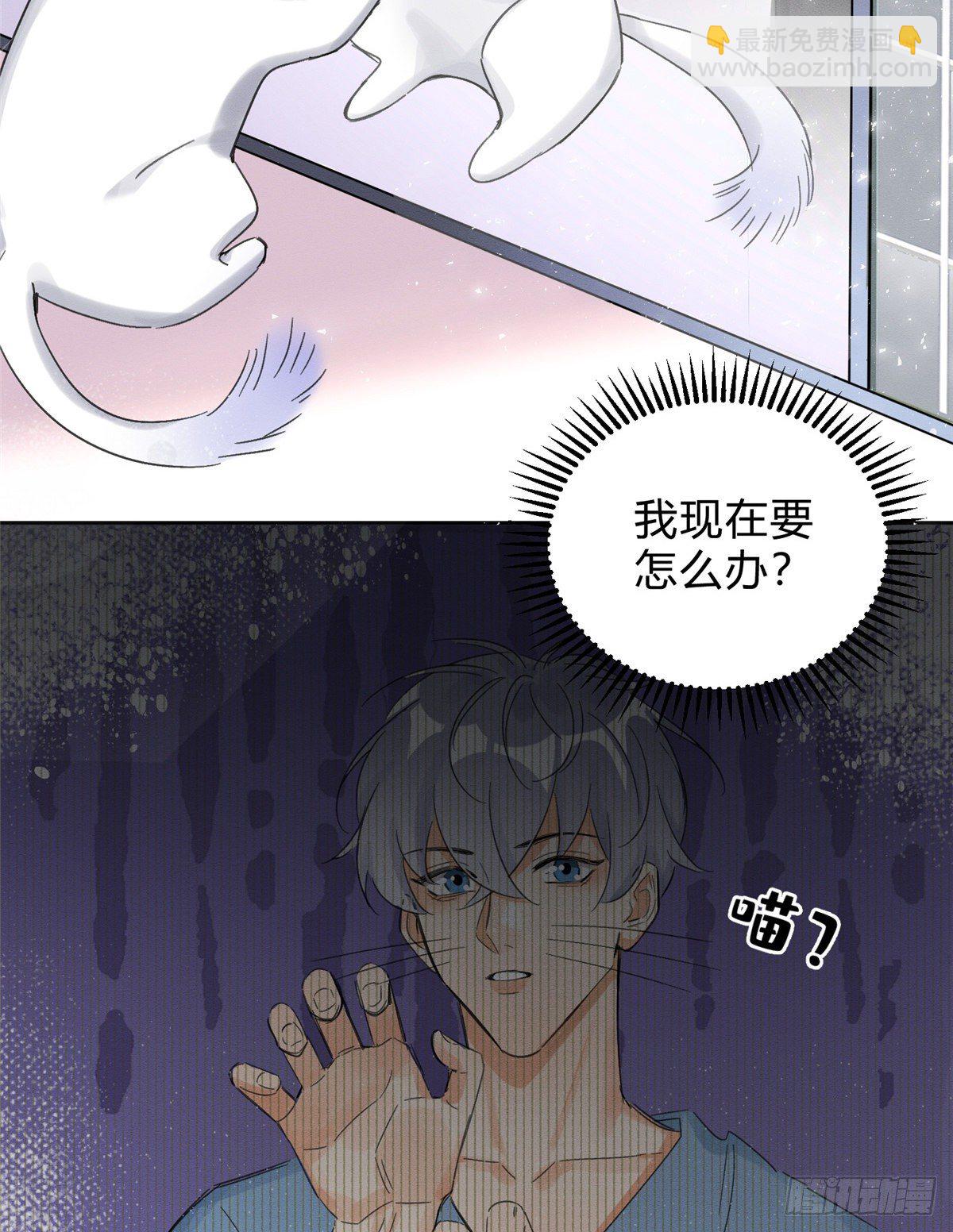 第2话 我来照顾他吧！(1/2)-第2话