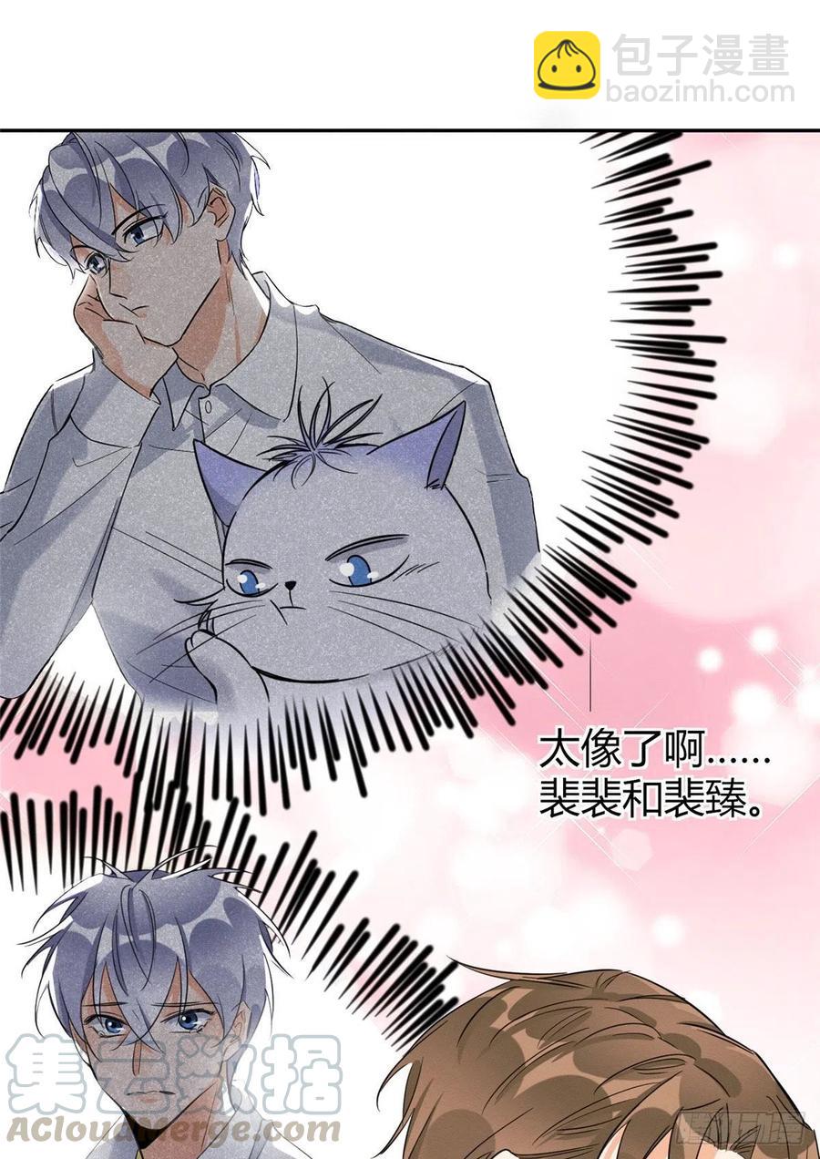 第36话 变成猫怎么恢复？-第36话