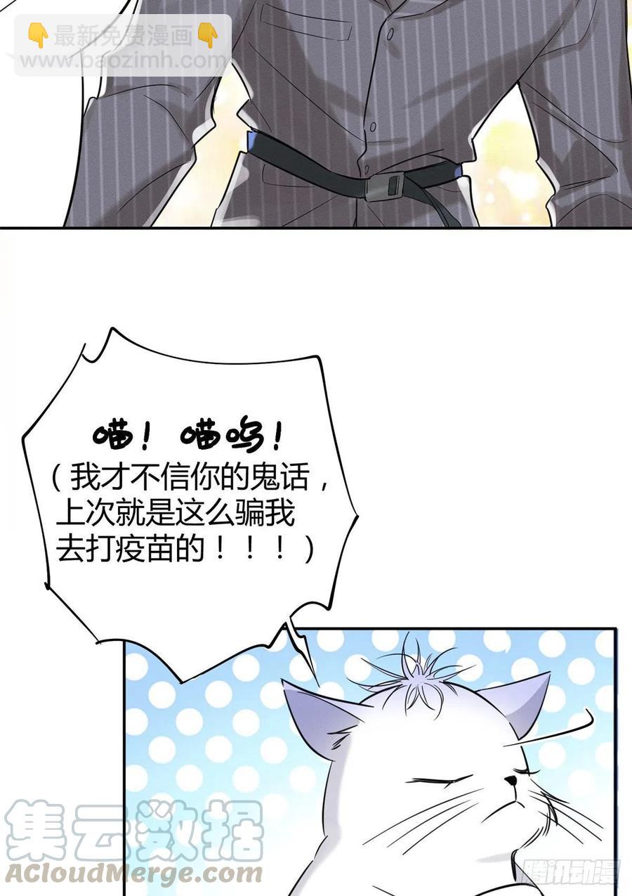 第36话 变成猫怎么恢复？-第36话