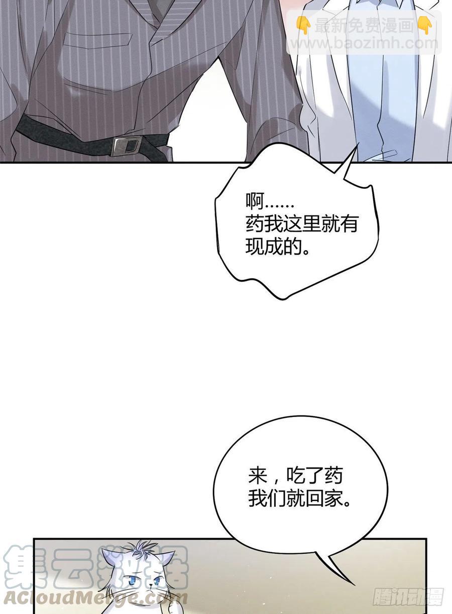 第36话 变成猫怎么恢复？-第36话