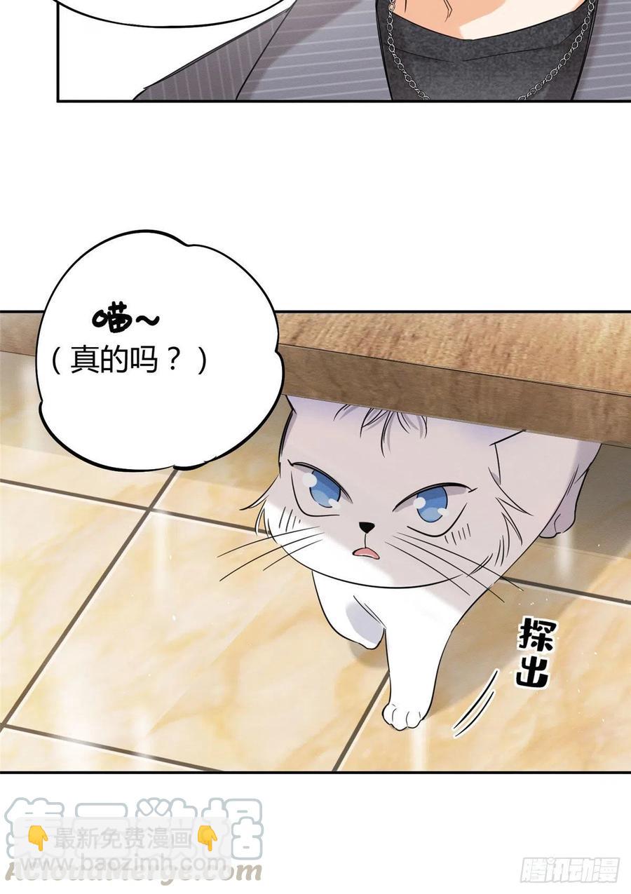 第36话 变成猫怎么恢复？-第36话
