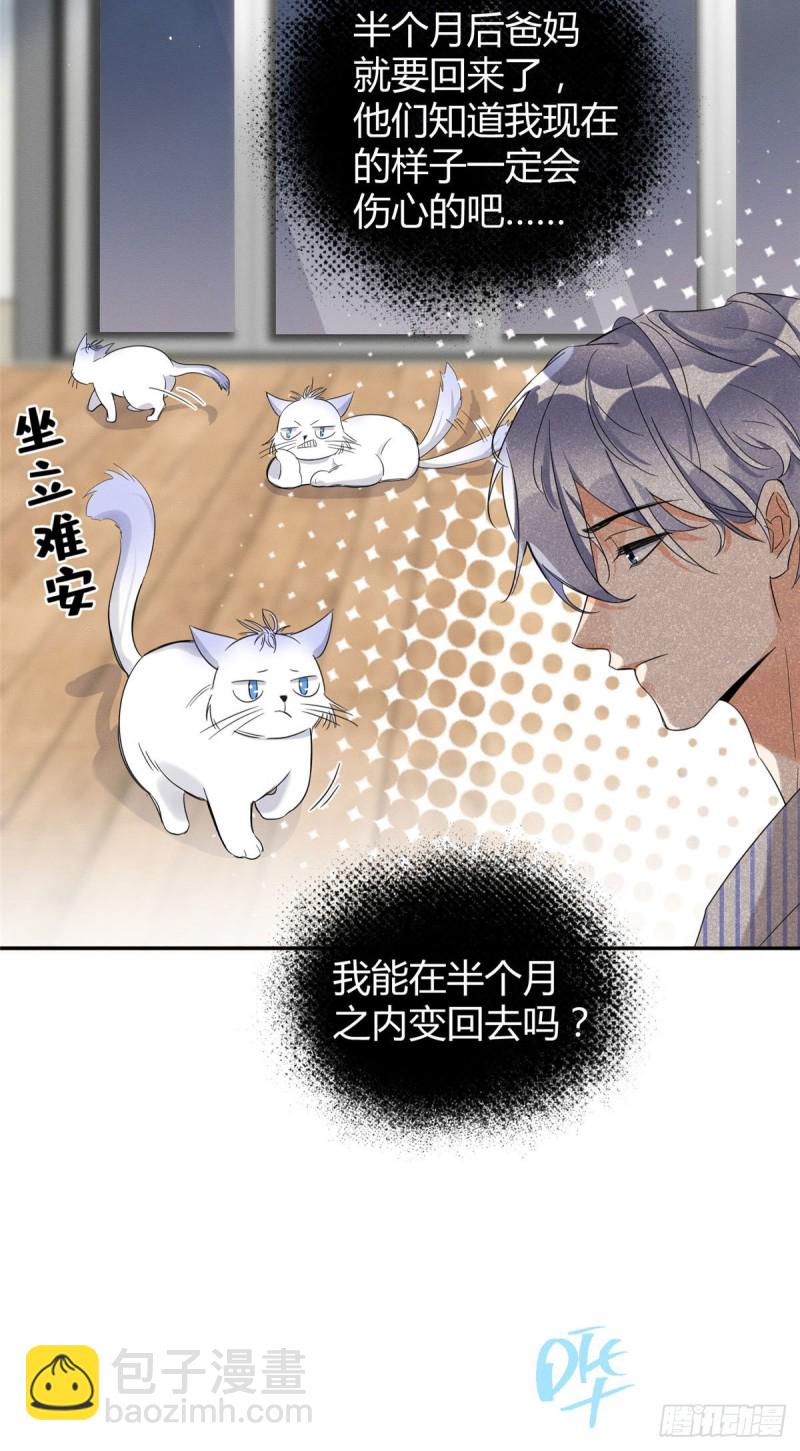 第38话 吻？能醒吗-第38话
