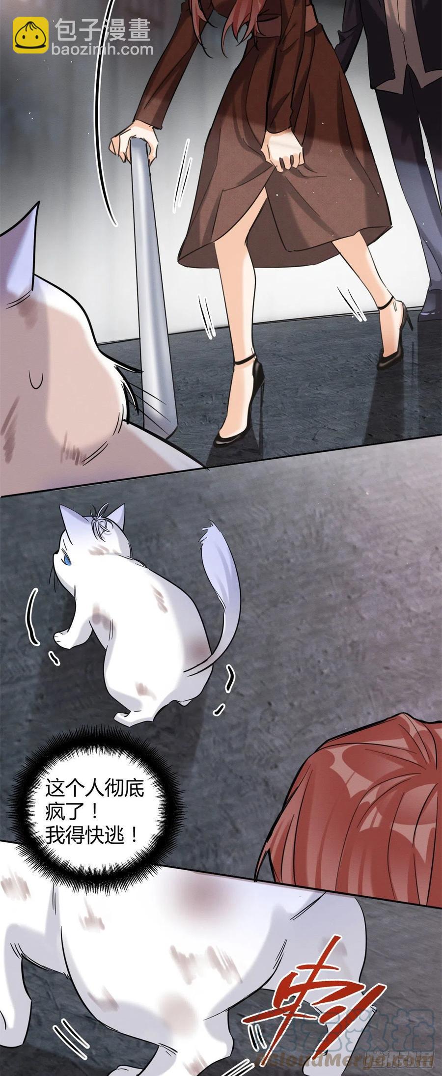 48英雄救猫狗-第48话