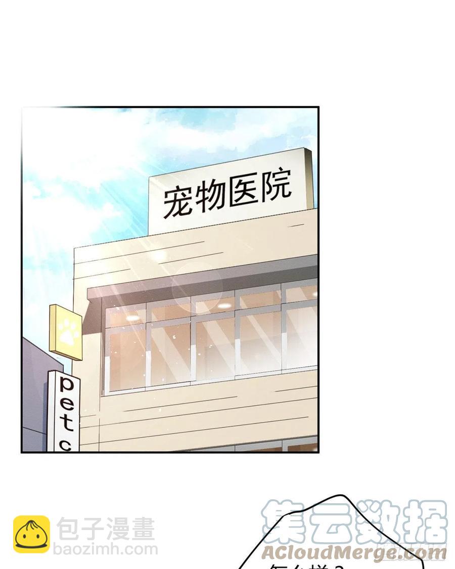 48英雄救猫狗-第48话