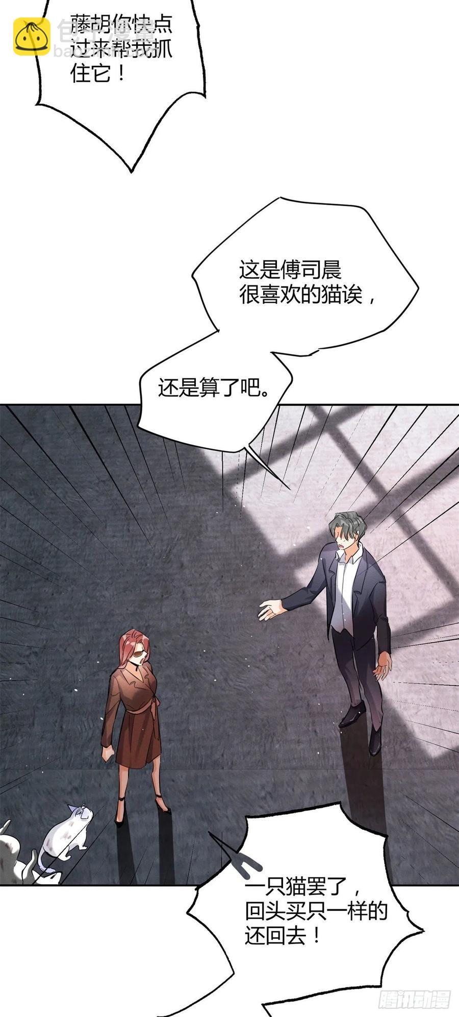 48英雄救猫狗-第48话