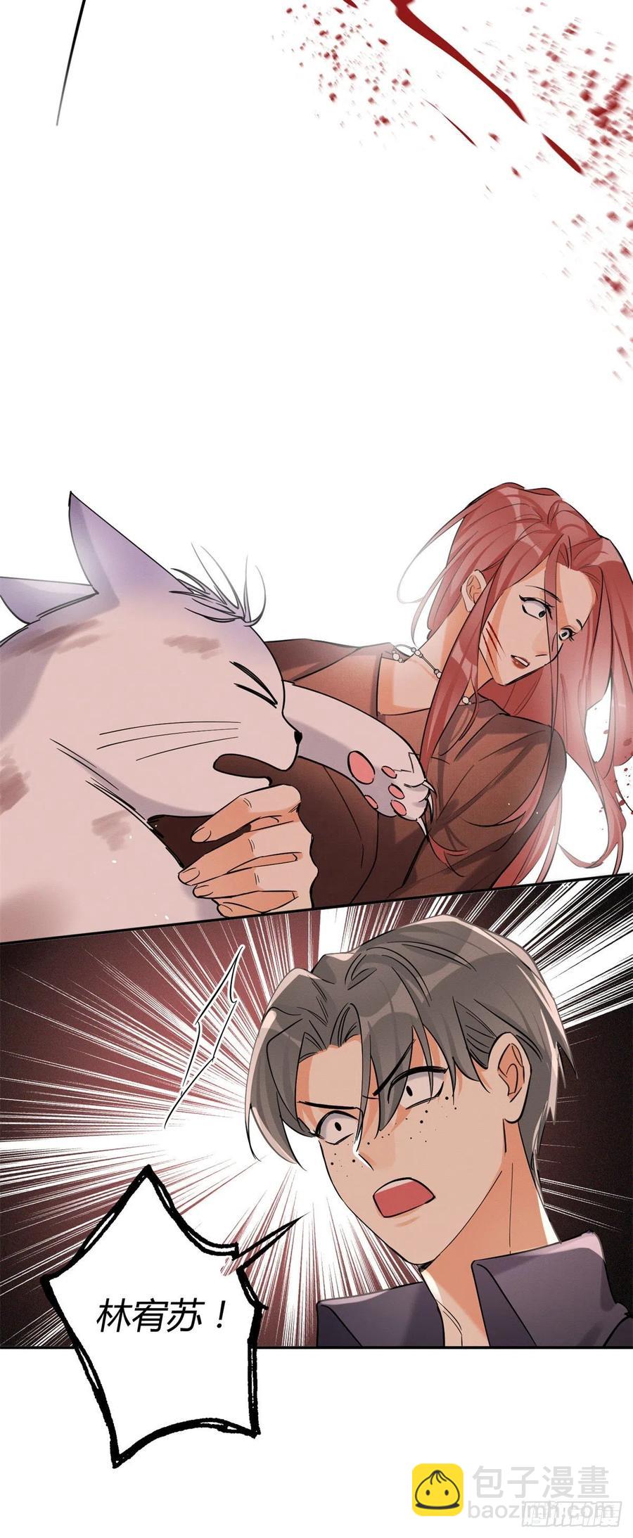 48英雄救猫狗-第48话