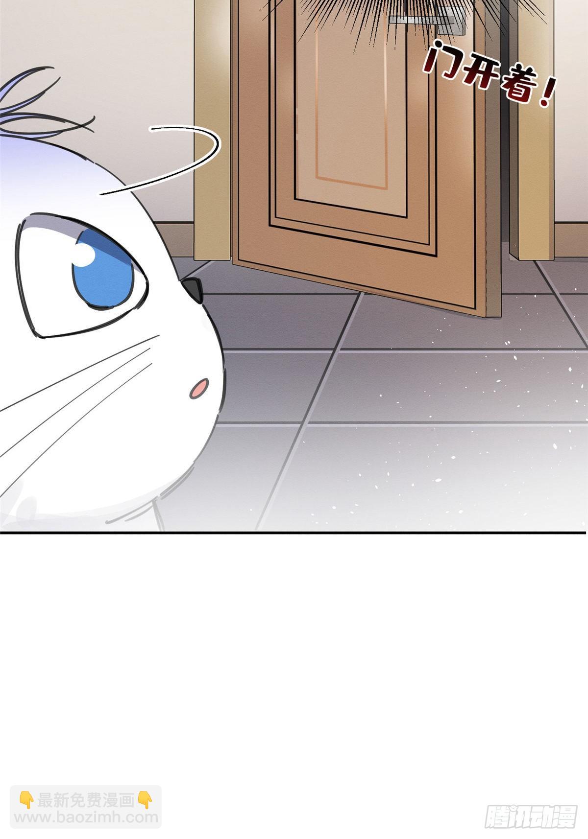 第6话 笨蛋！(1/2)-第6话