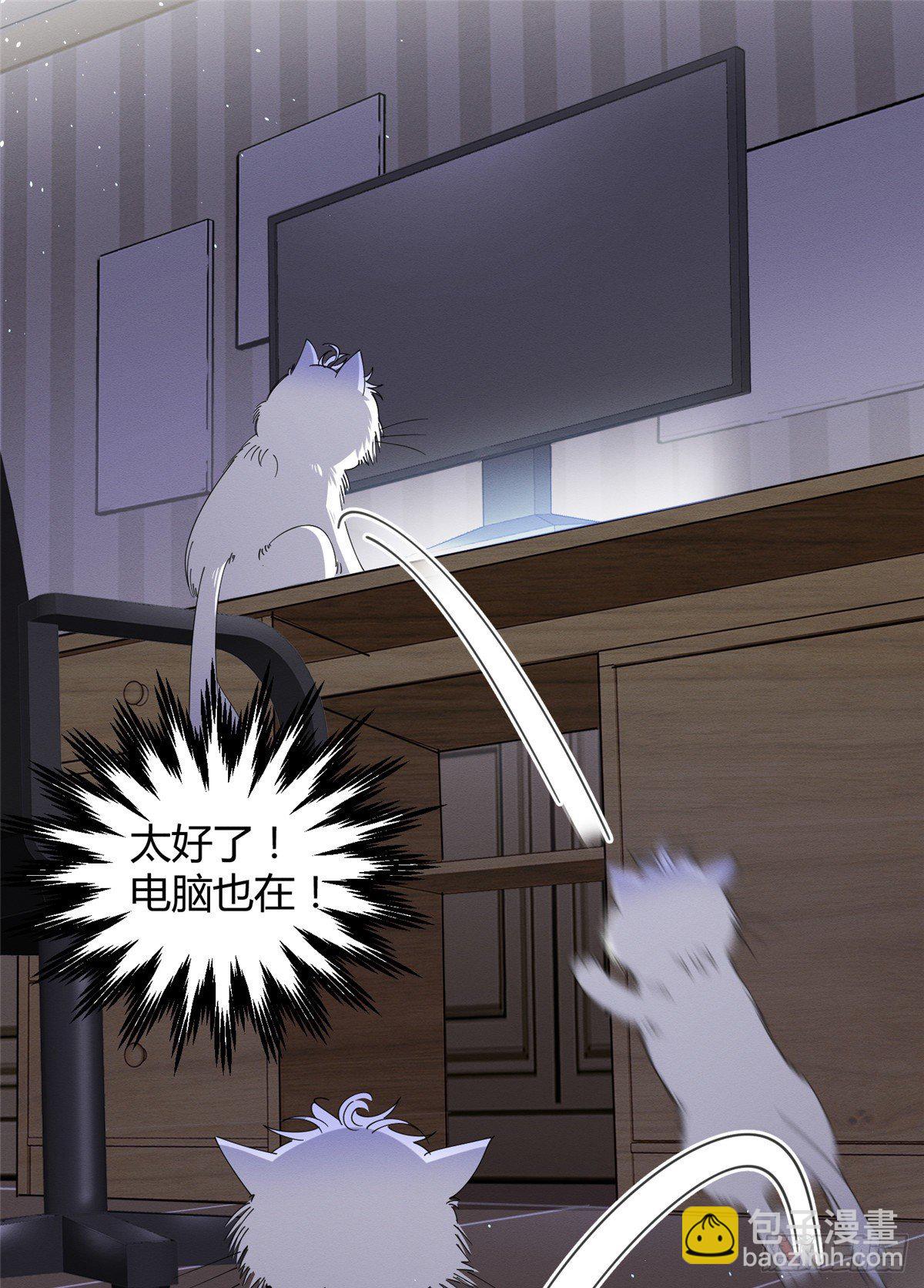 第6话 笨蛋！(1/2)-第6话