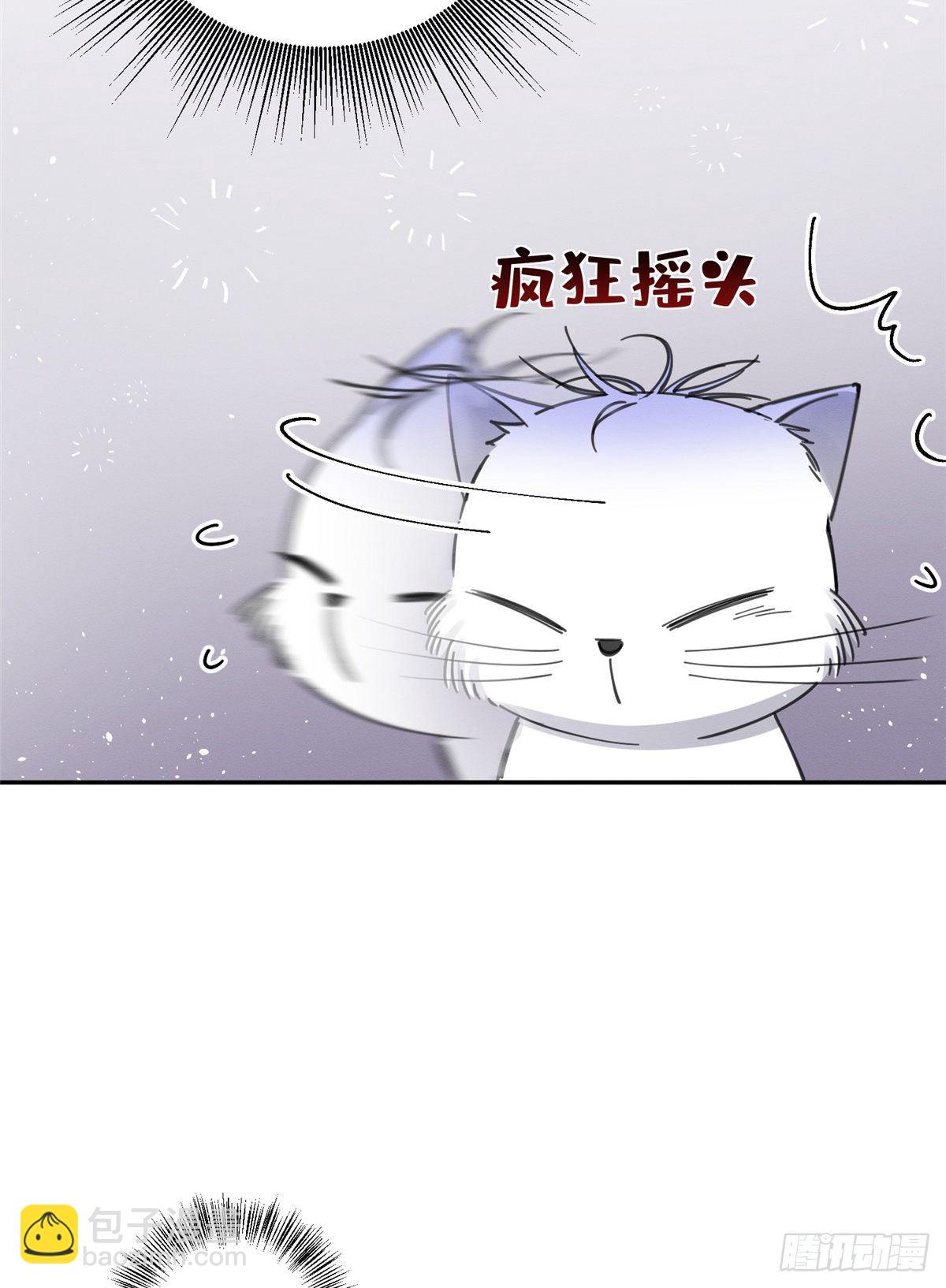 第6话 笨蛋！(1/2)-第6话
