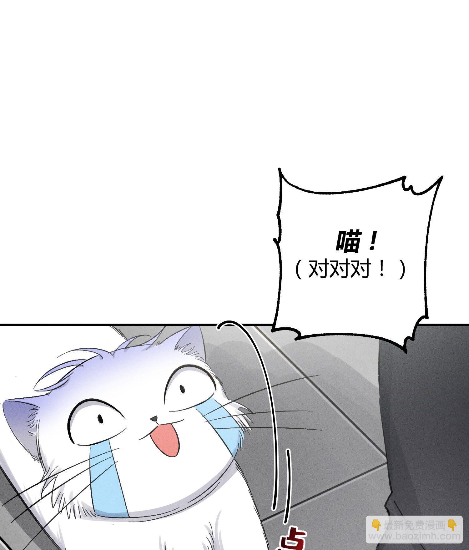 第8话 不可以碰我！-第8话
