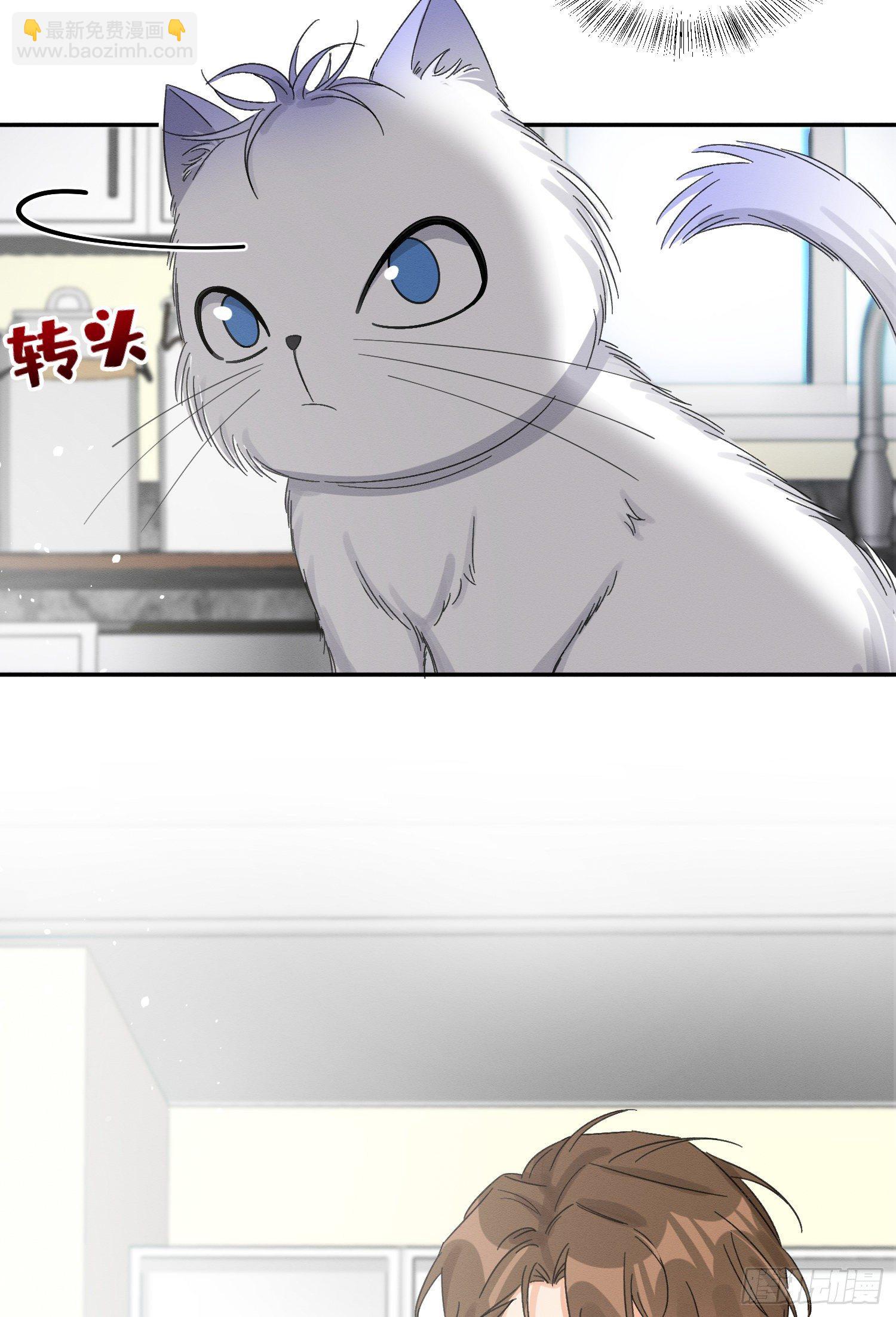 第8话 不可以碰我！-第8话