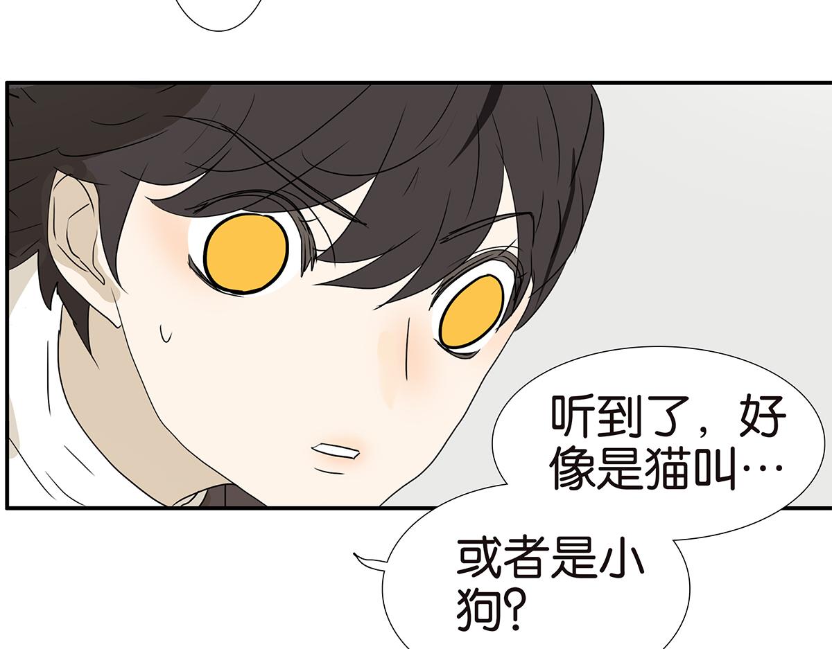 175话-是猫(1/2)-第180话