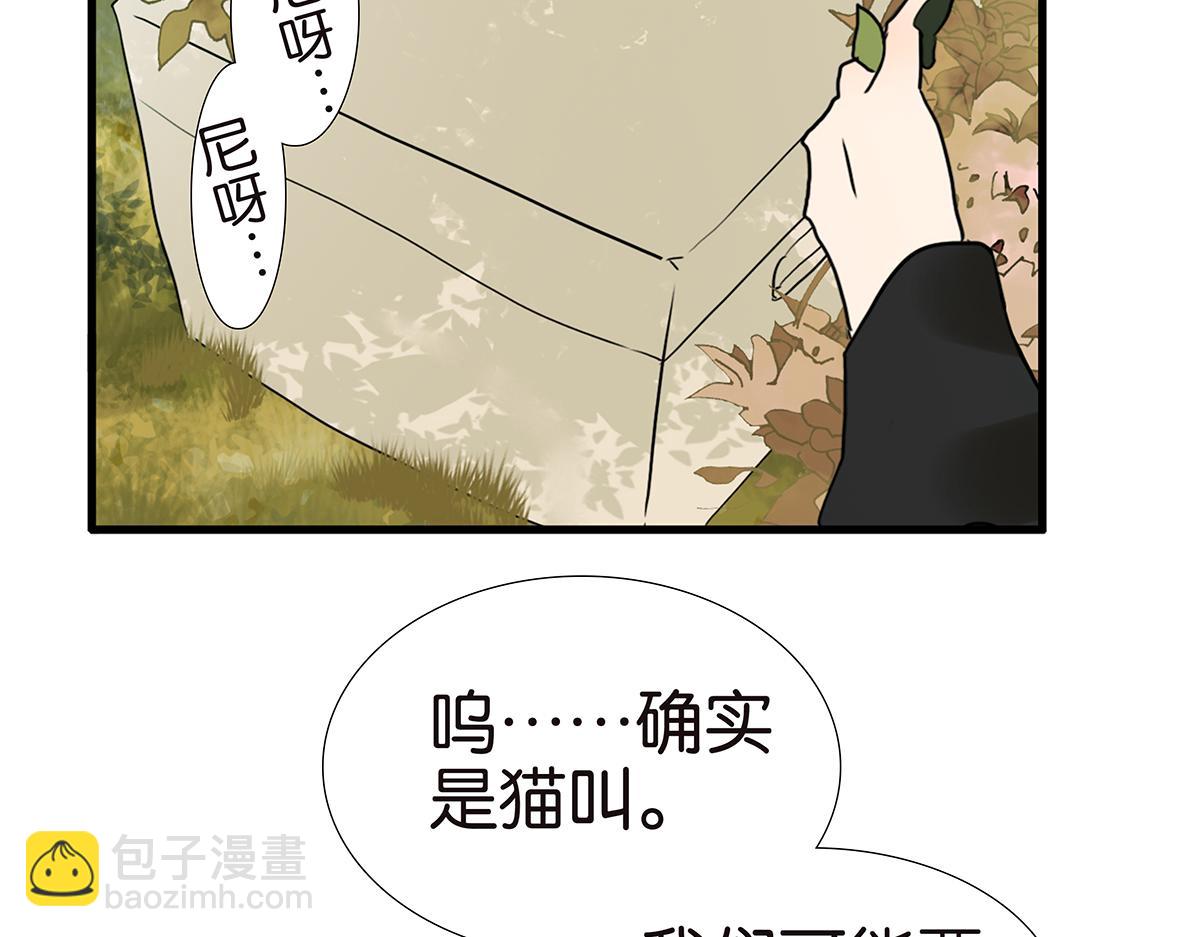 175话-是猫(1/2)-第180话