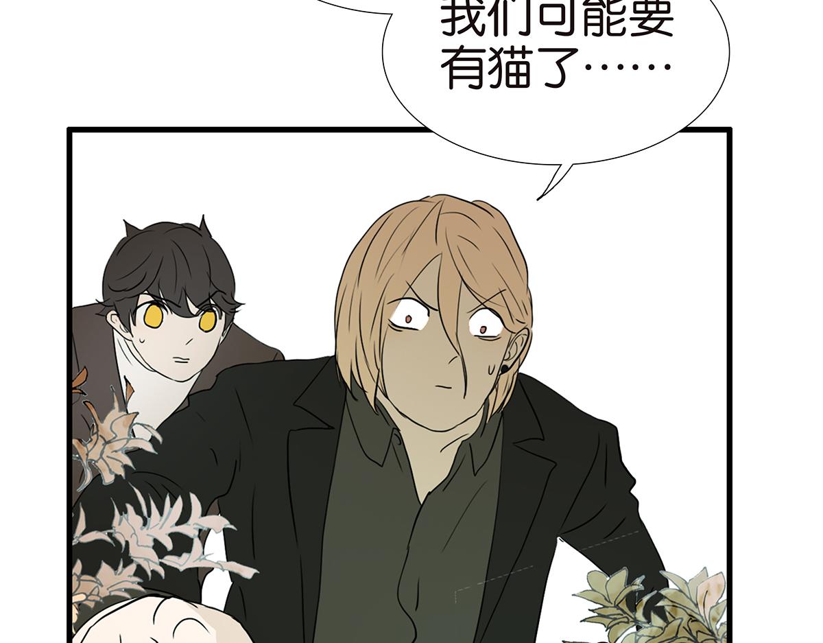 175话-是猫(1/2)-第180话