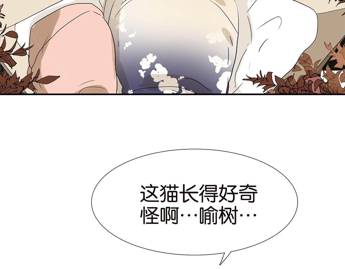 175话-是猫(1/2)-第180话
