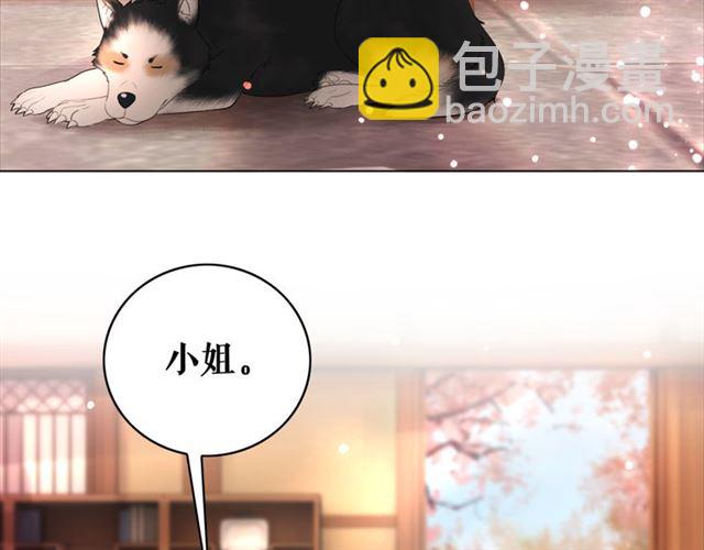 第113话 令人头痛的婚契(1/3)-第114话