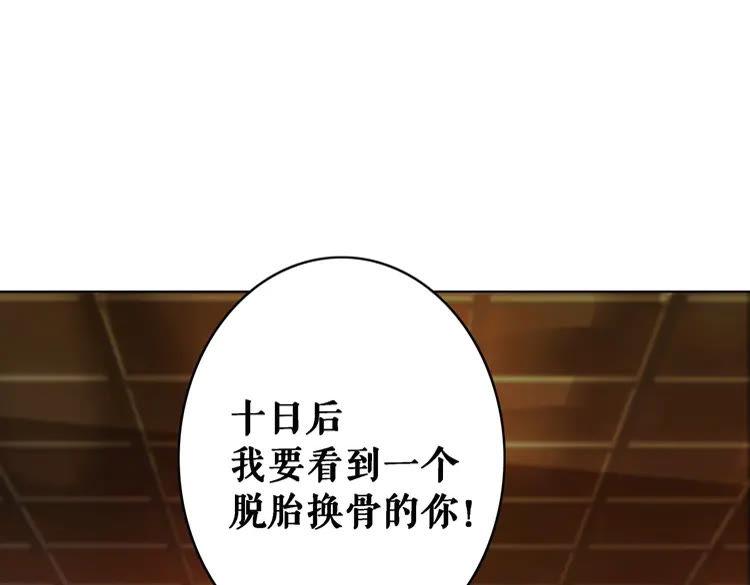 第81话 谁说古人不追星？(1/3)-第82话