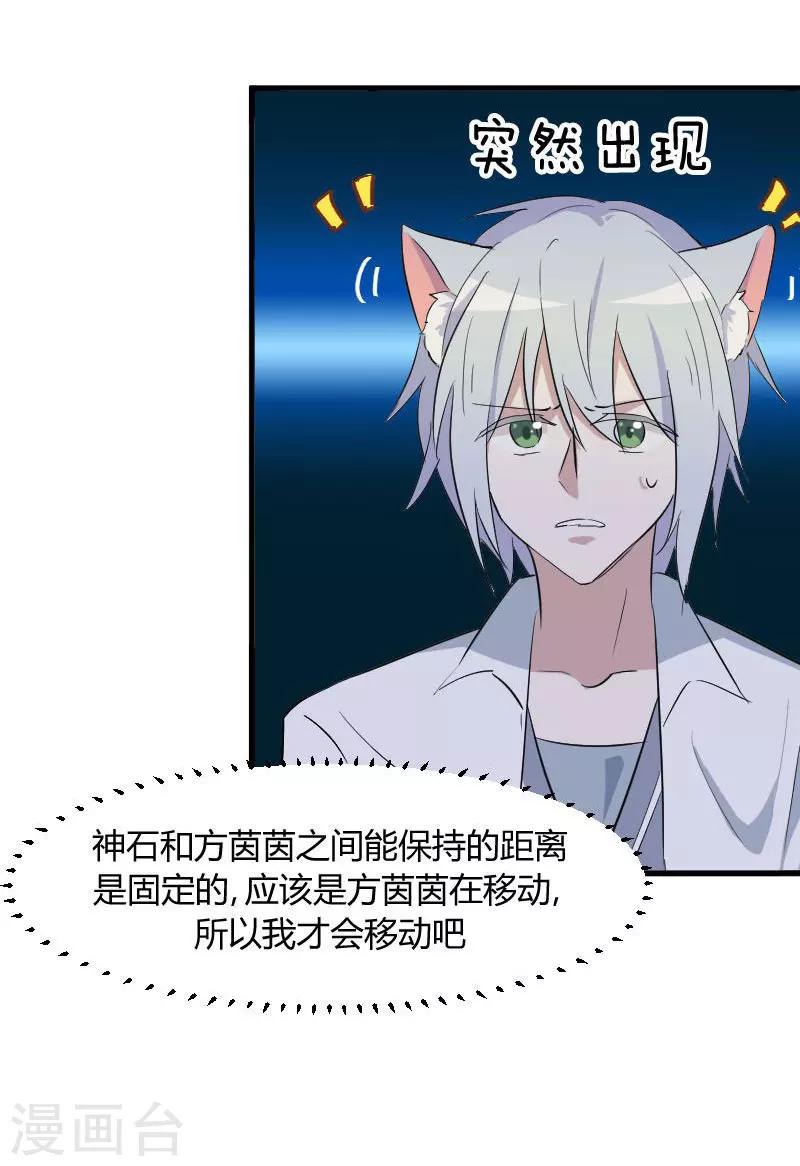 第17话 猫很活泼很健康-第18话