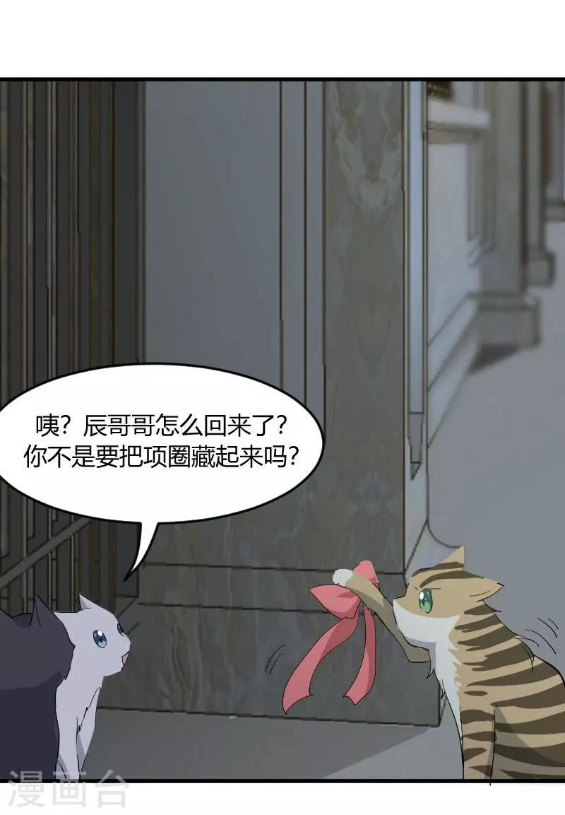 第17话 猫很活泼很健康-第18话