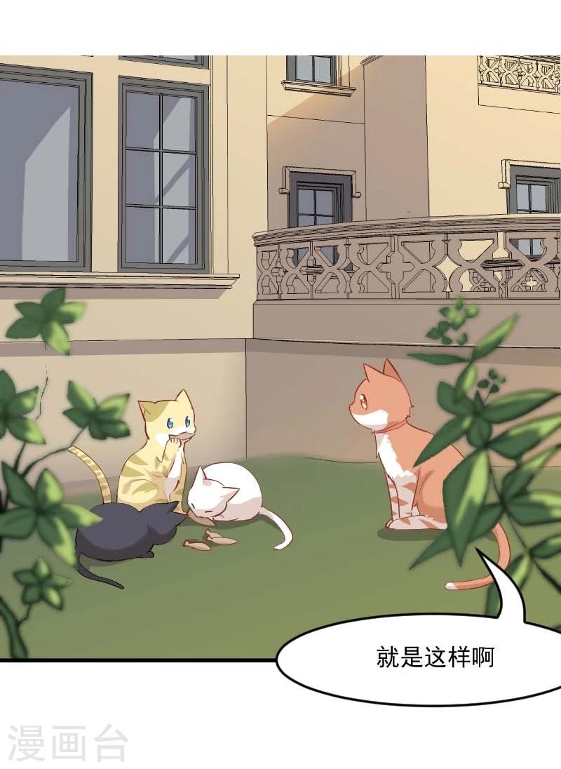 第23话 生气咯！？-第24话