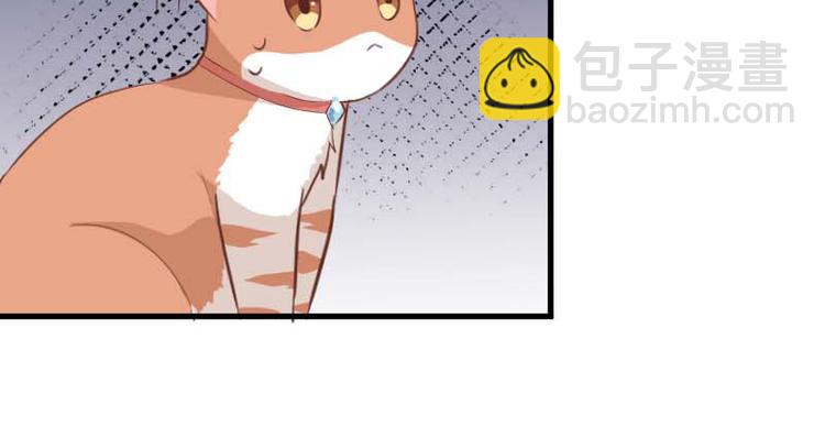 第24话 猫奴本奴了-第26话