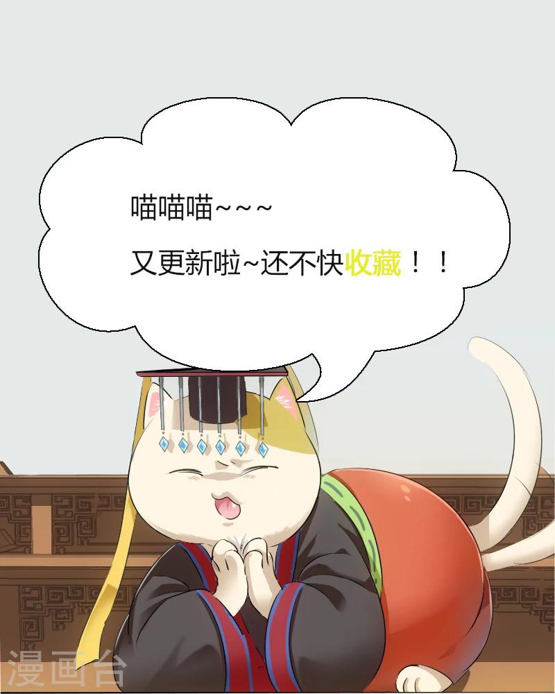 第3话 悲惨的喵生-第4话