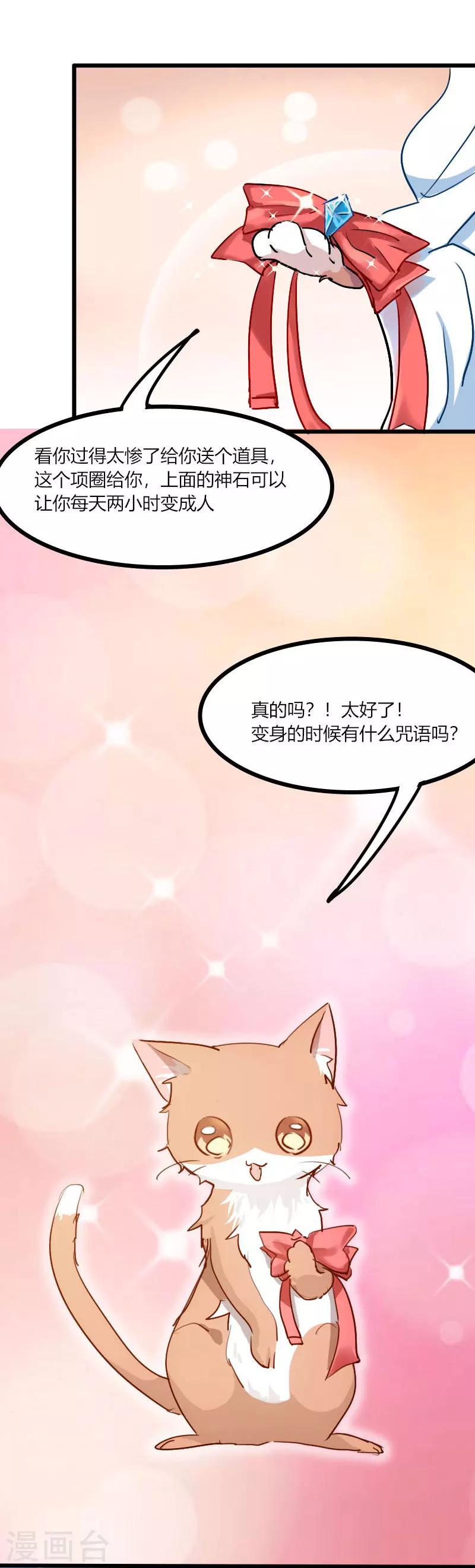 第3话 悲惨的喵生-第4话