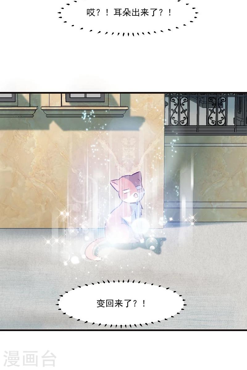 第36话 神石坏了？-第38话