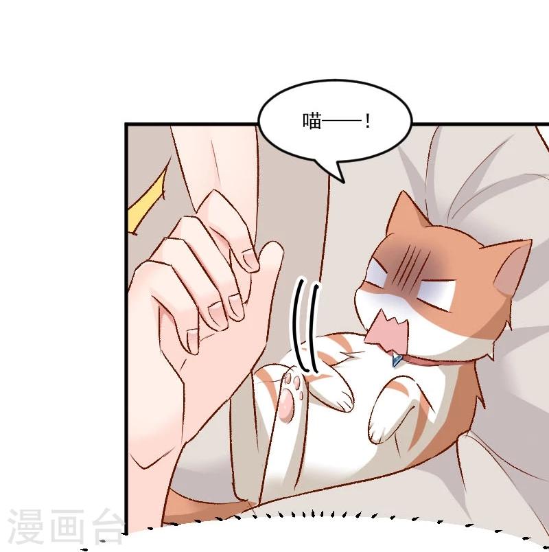 第36话 神石坏了？-第38话