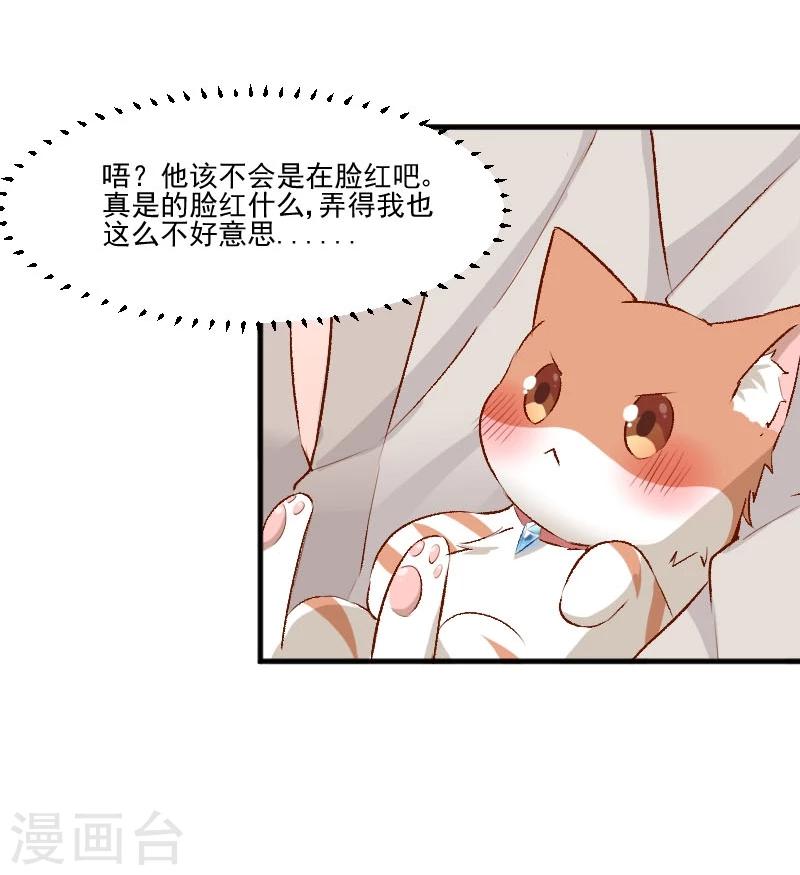 第36话 神石坏了？-第38话