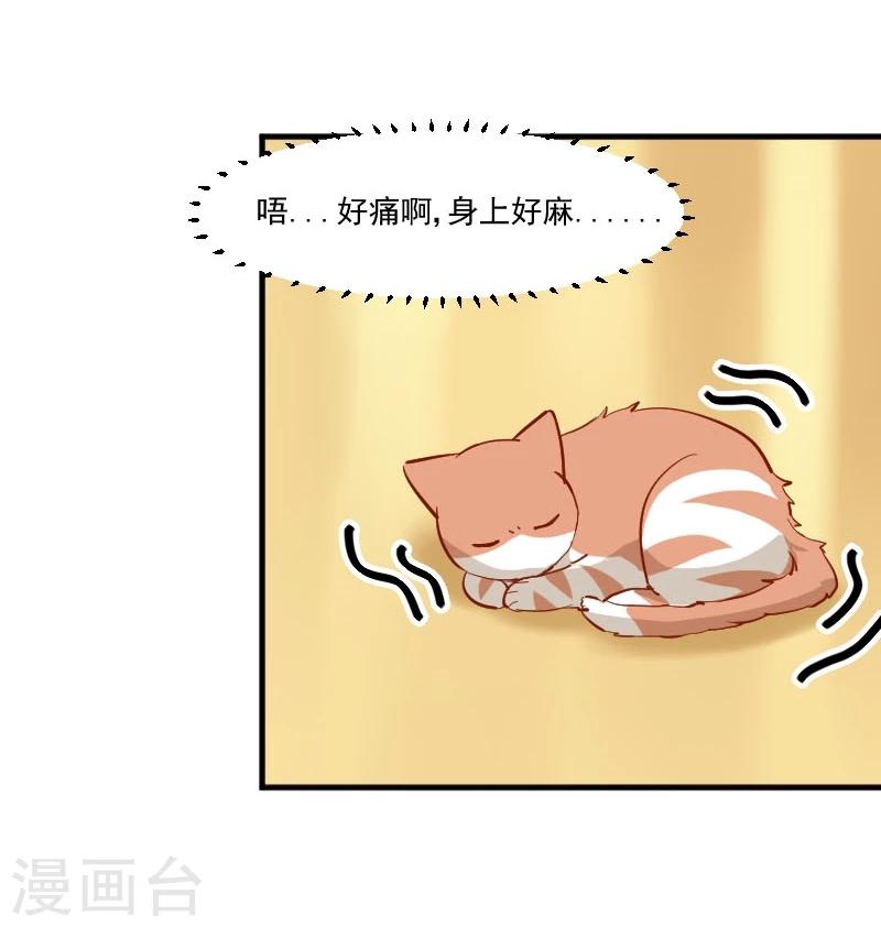 第38话 你在担心我吗？-第40话