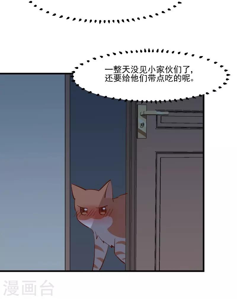 第42话 小辰回来了-第44话