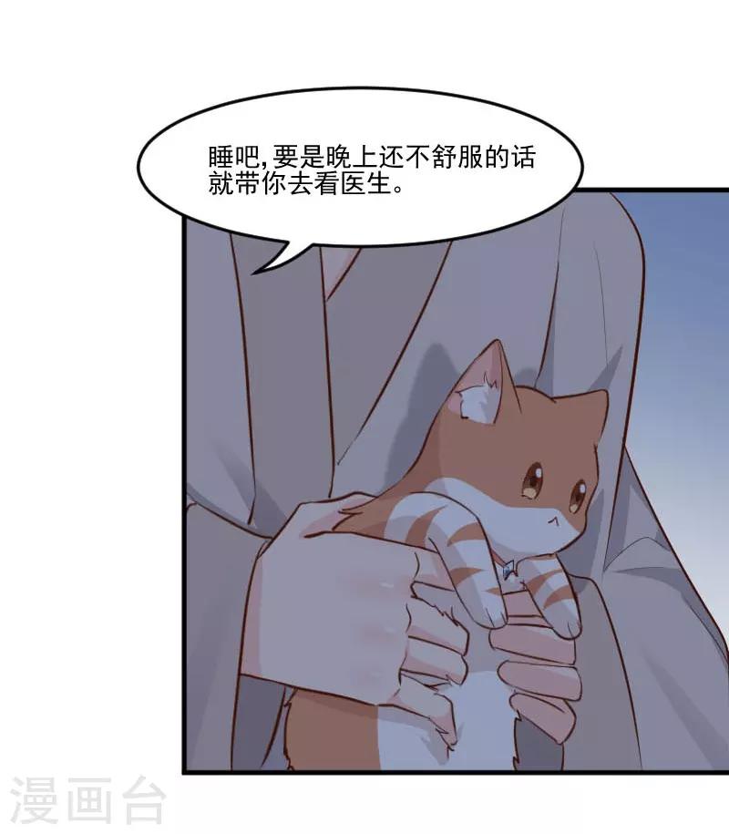 第42话 小辰回来了-第44话