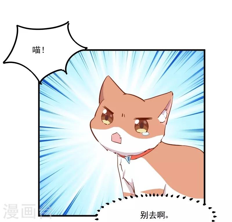第51话 我要这只猫去死-第54话