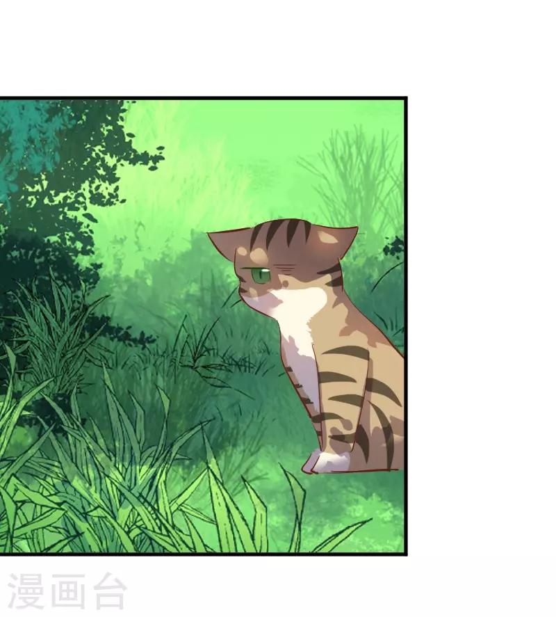 第61话 被发现是猫了-第64话