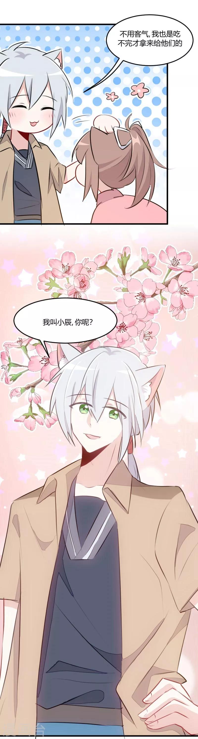 第7话 这猫好帅-第8话