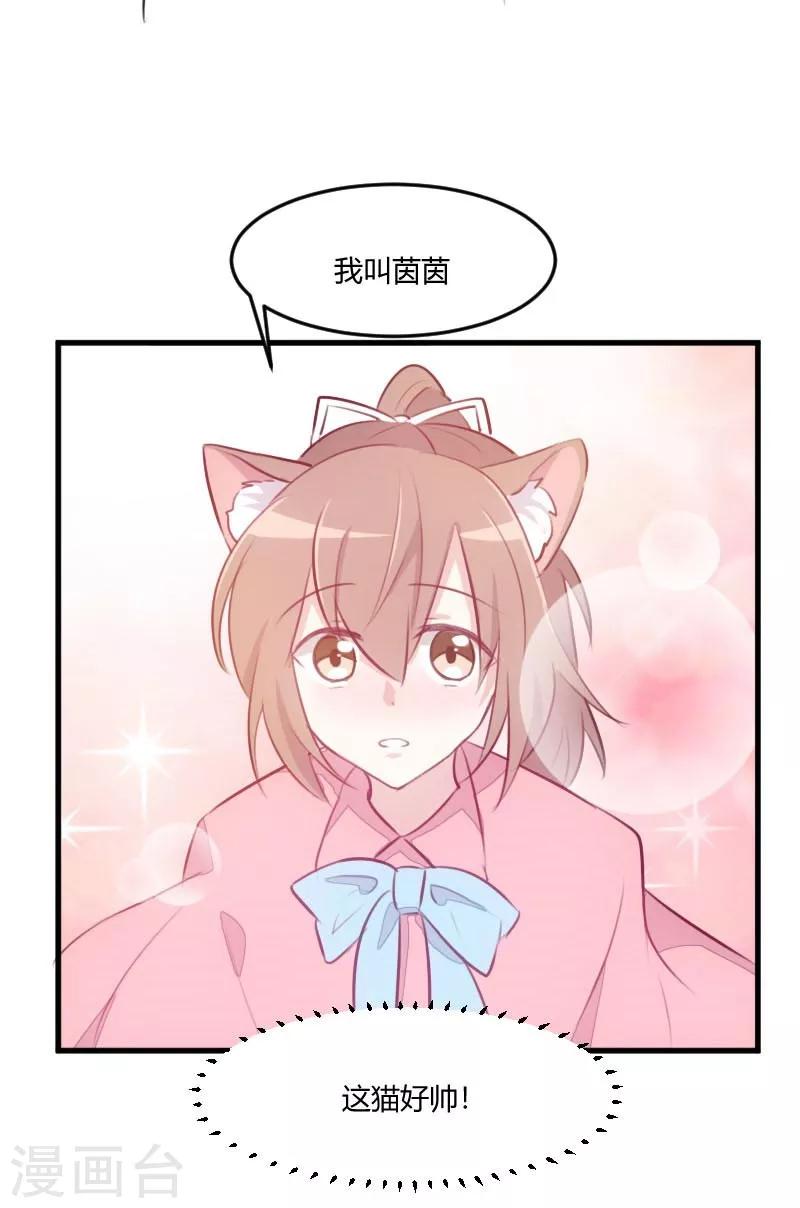 第7话 这猫好帅-第8话