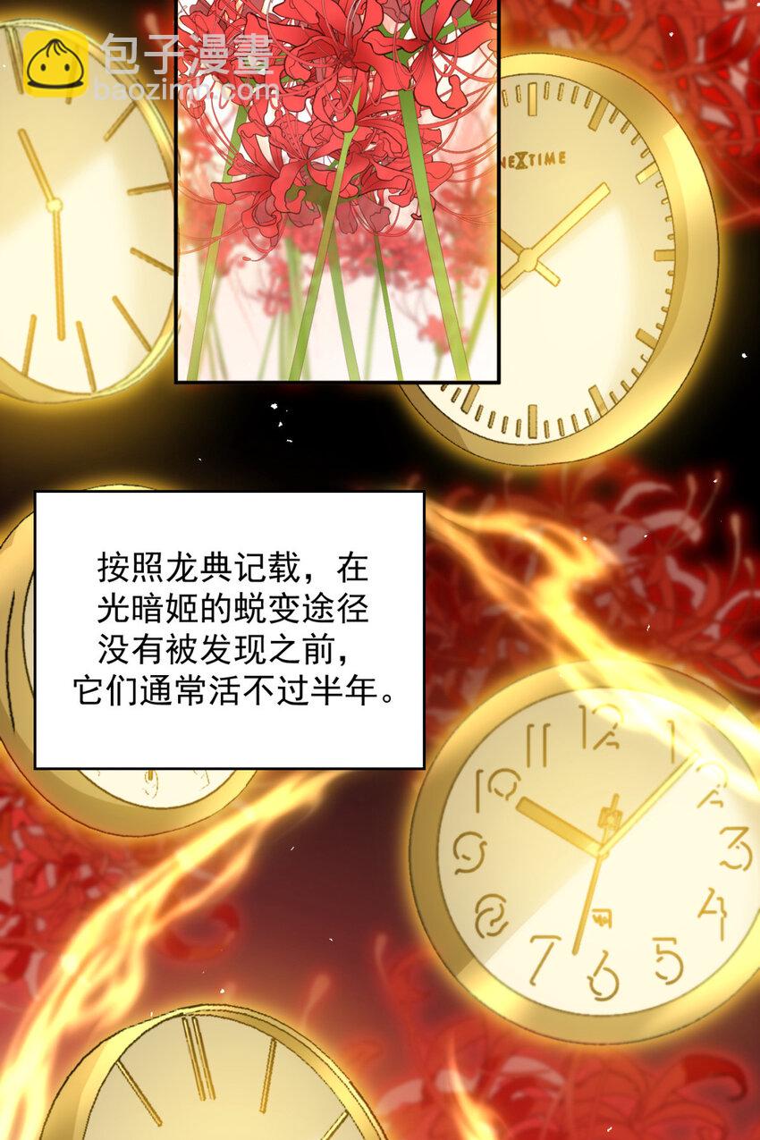 91 91(1/2)-第92话
