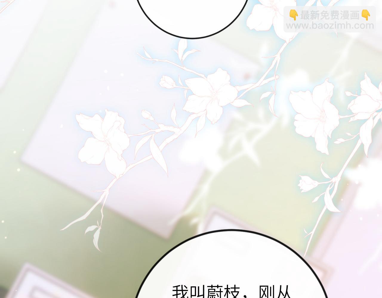 第3话 毛绒控请求rua毛毛！(1/3)-第4话