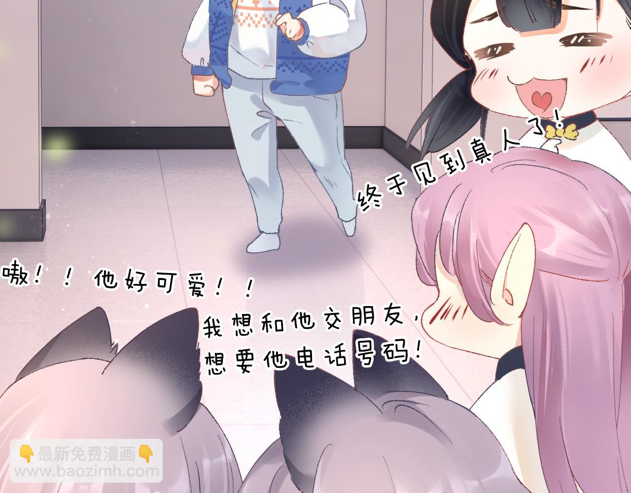 第3话 毛绒控请求rua毛毛！(1/3)-第4话