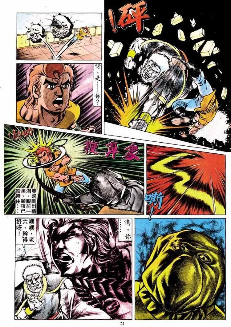 🍴旧著醉拳 第195卷 第22页