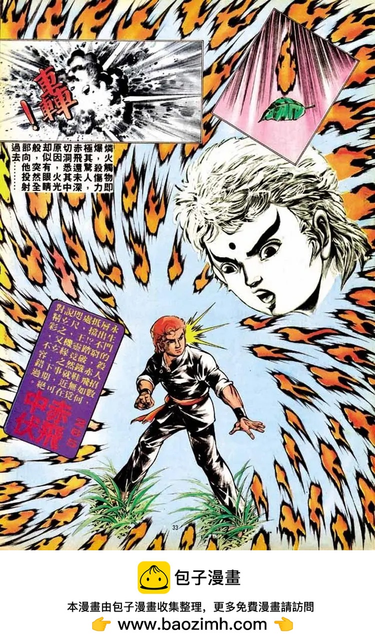 🍴旧著醉拳 第264卷 第33页