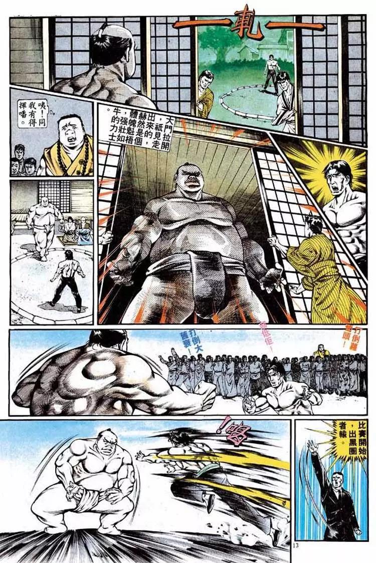 🍴旧著醉拳 第334卷 第13页